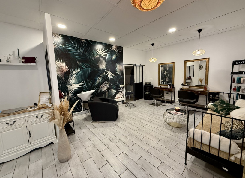 vente Ensemble immobilier Maraussan - Photo 9