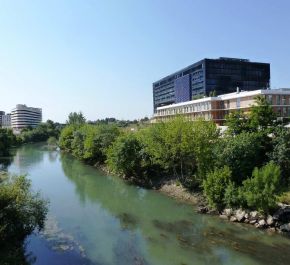 vente Montpellier