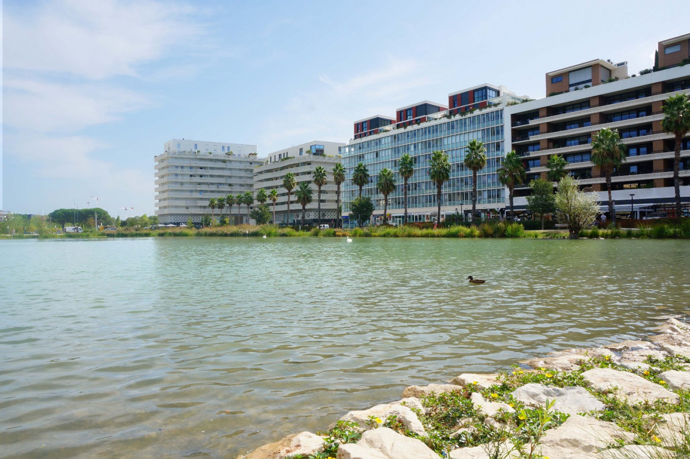 vente Appartement Montpellier - Photo 2