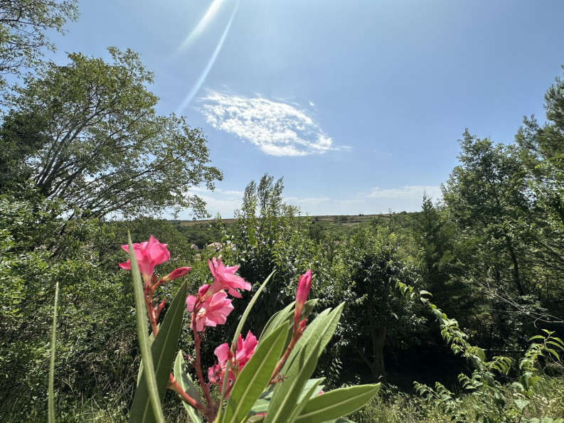 à vendre Villa Magalas - Photo 5