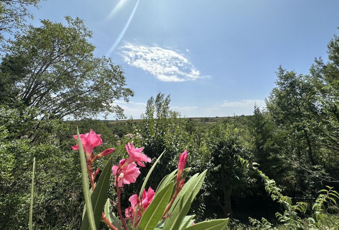 vente Villa Magalas - Photo 5