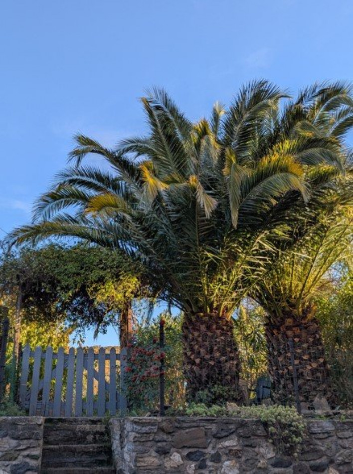 à vendre Maison de caractère Fos - Photo 9