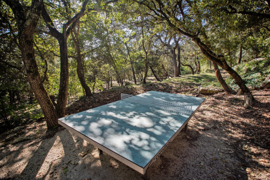 vente Demeure Bollene - Photo 5