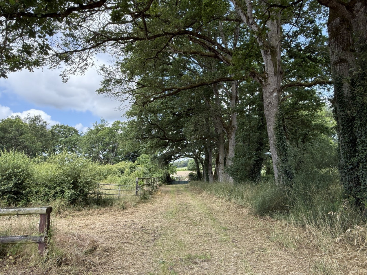 à vendre Manoir Conquereuil - Photo 6