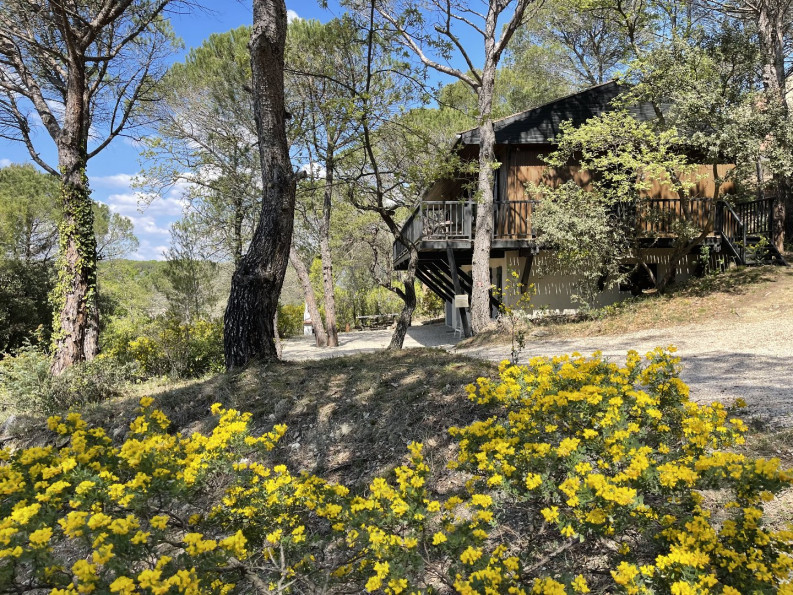 à vendre Chalet Sainte Cecile Les Vignes - Photo 9