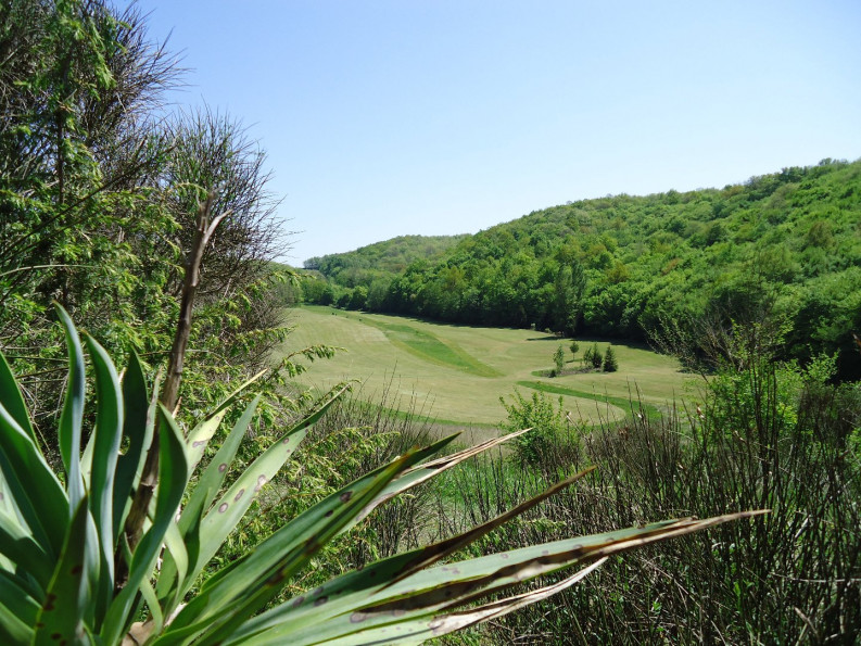 à vendre Domaine Masseube - Photo 5