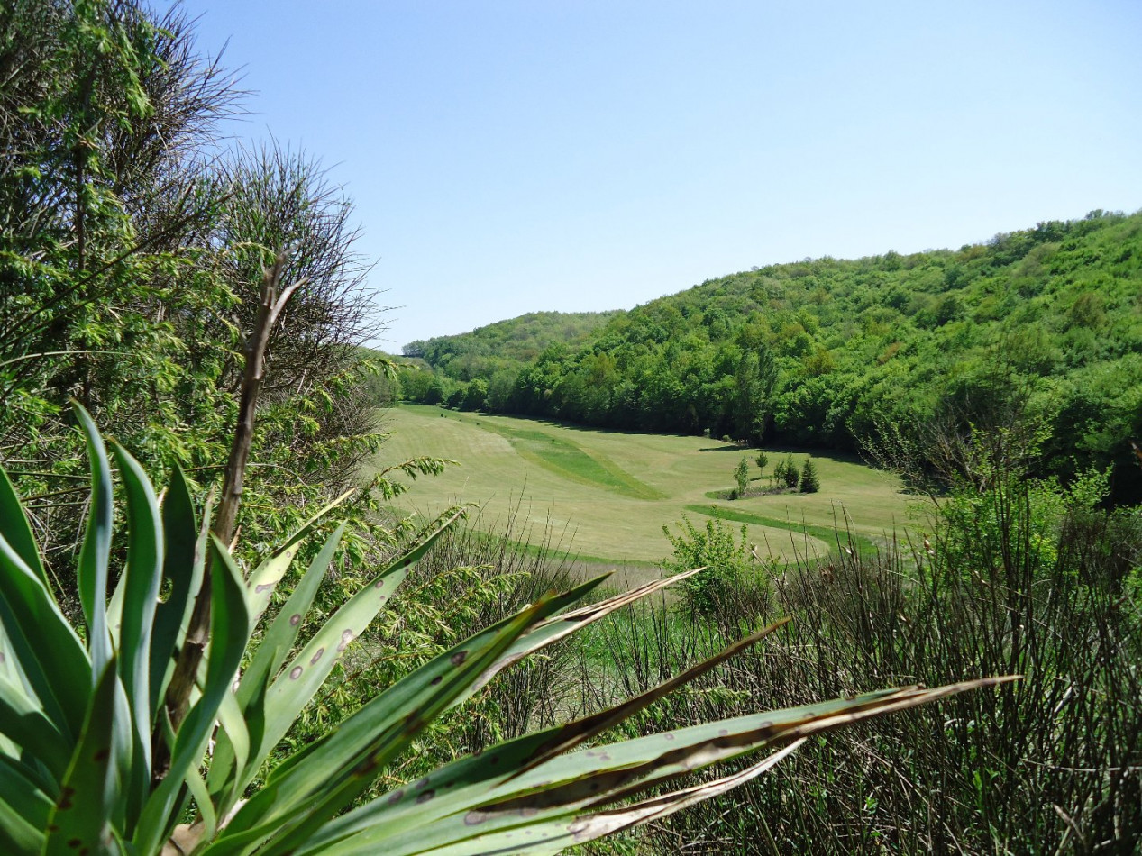 for sale Domaine Masseube - Photo 5