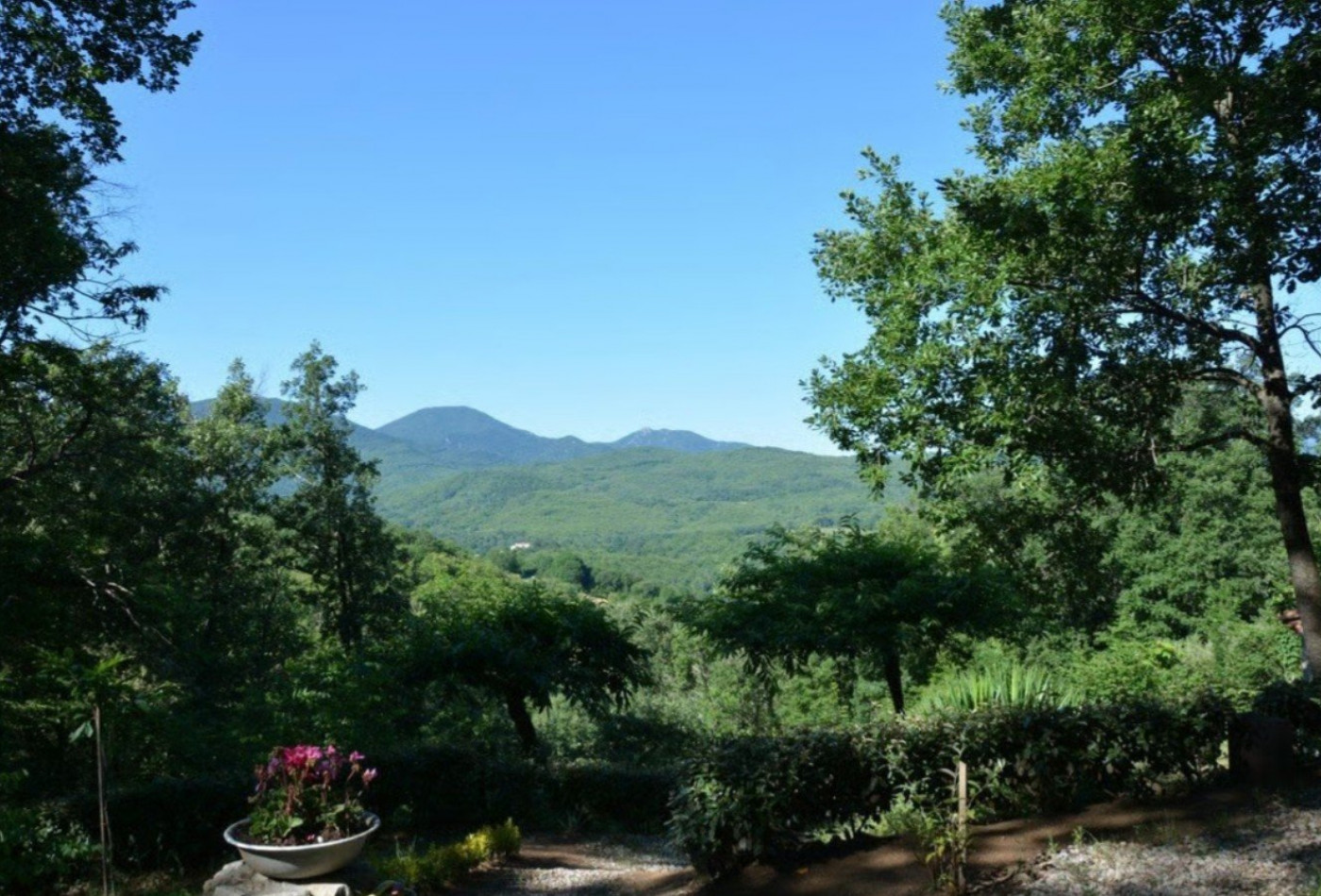 vente Domaine Saint Laurent De Cerdans - Photo 2