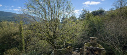 vente Maison de hameau Colombieres Sur Orb