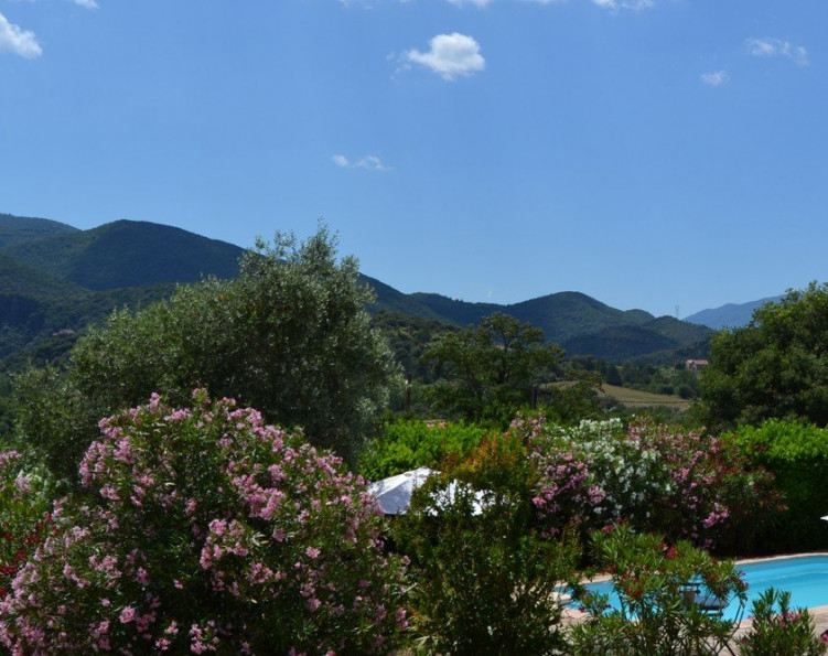 vente Maison vigneronne Mons - Photo 2