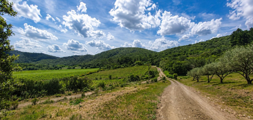 à vendre Propriété Roquebrun - Photo 4