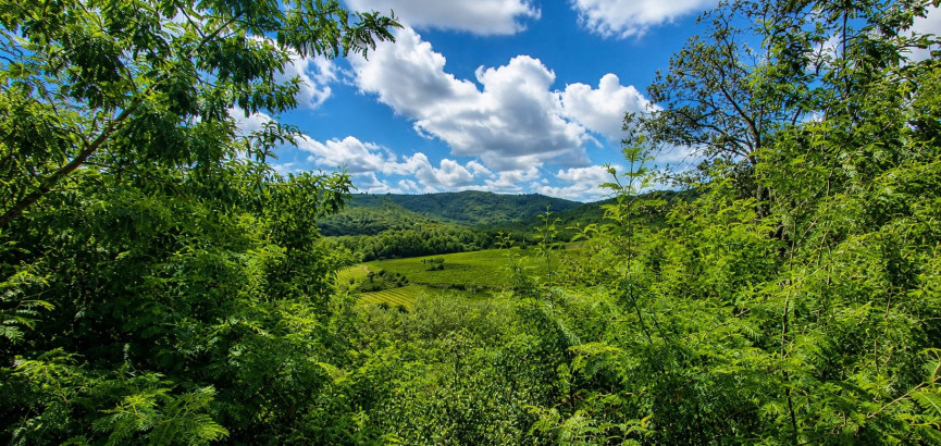 à vendre Propriété Roquebrun - Photo 2