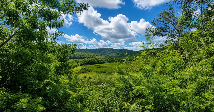 vente Propriété Roquebrun