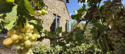 vente Maison individuelle Lamalou Les Bains