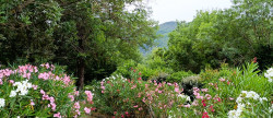 vente Villa Colombieres Sur Orb