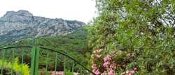 vente Villa Colombieres Sur Orb