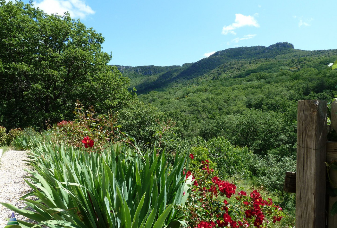 vente Maison Lodeve - Photo 2