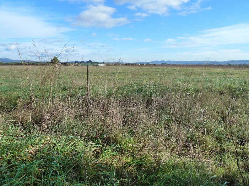 vente Terrain agricole Brignac - Photo 3
