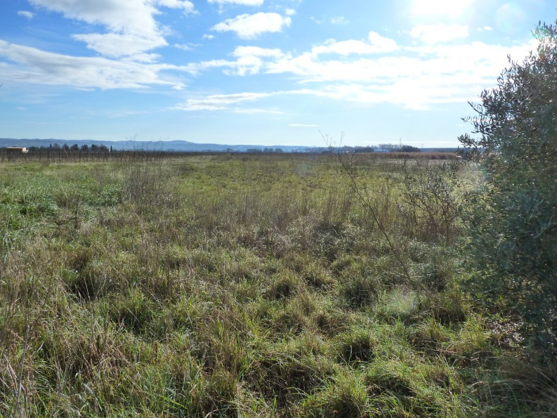 vente Terrain agricole Brignac - Photo 1