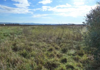 vente Terrain agricole Brignac