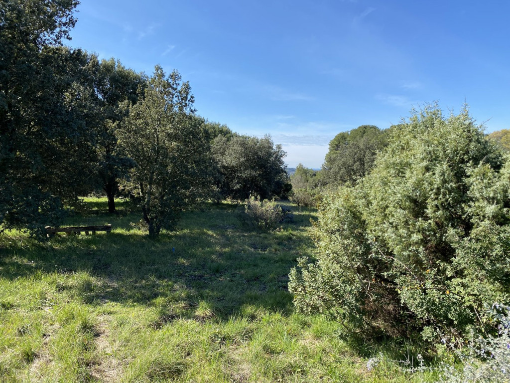 à vendre Maison contemporaine Saint Pargoire - Photo 2