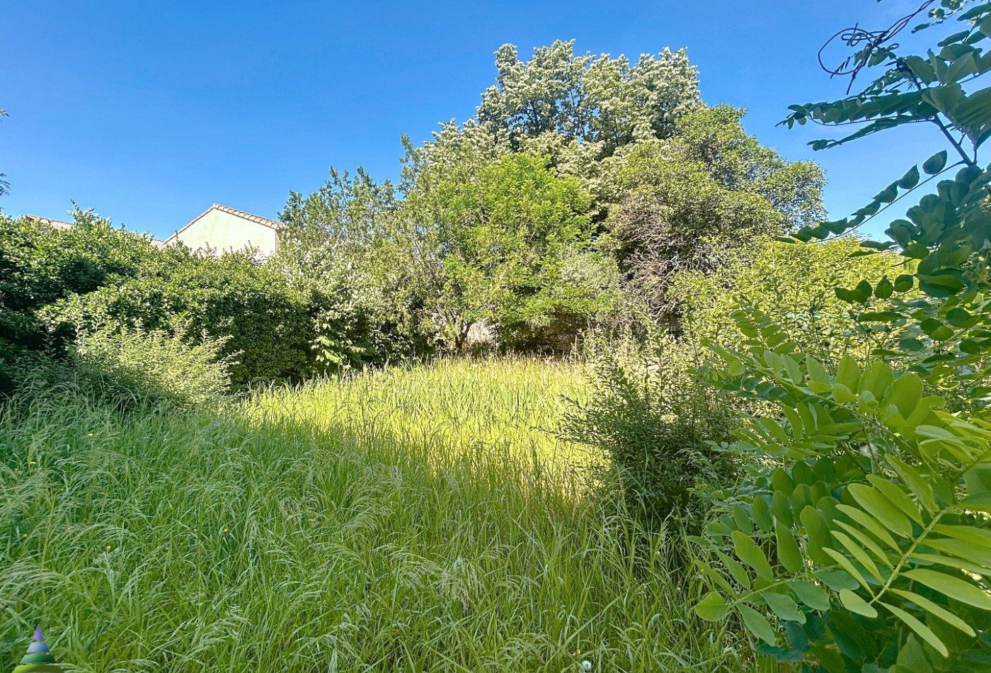 vente Maison vigneronne Pezenas - Photo 2