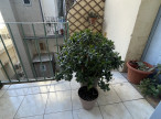 à vendre Appartement Sete