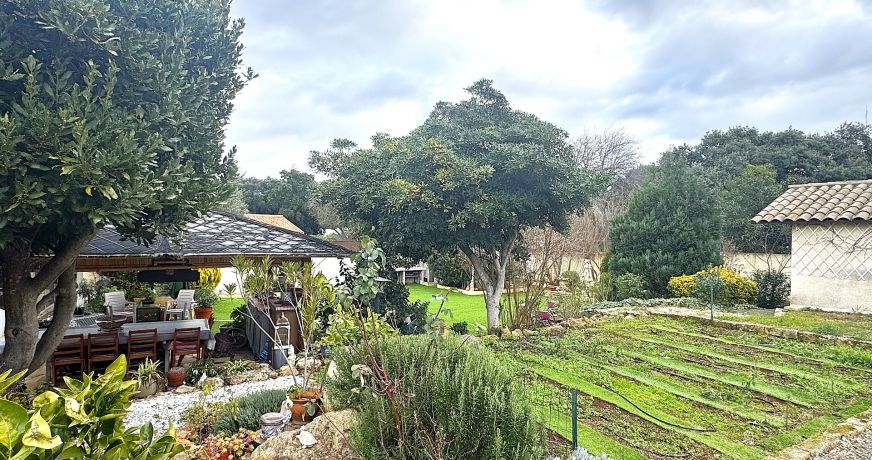 vente Maison Balaruc Le Vieux