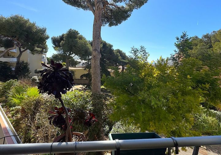 à vendre Appartement Sete