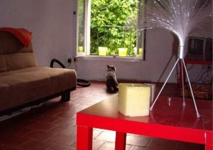 vente Appartement Sete