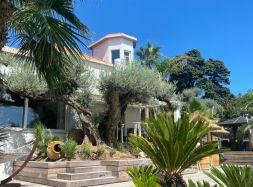 vente Sete