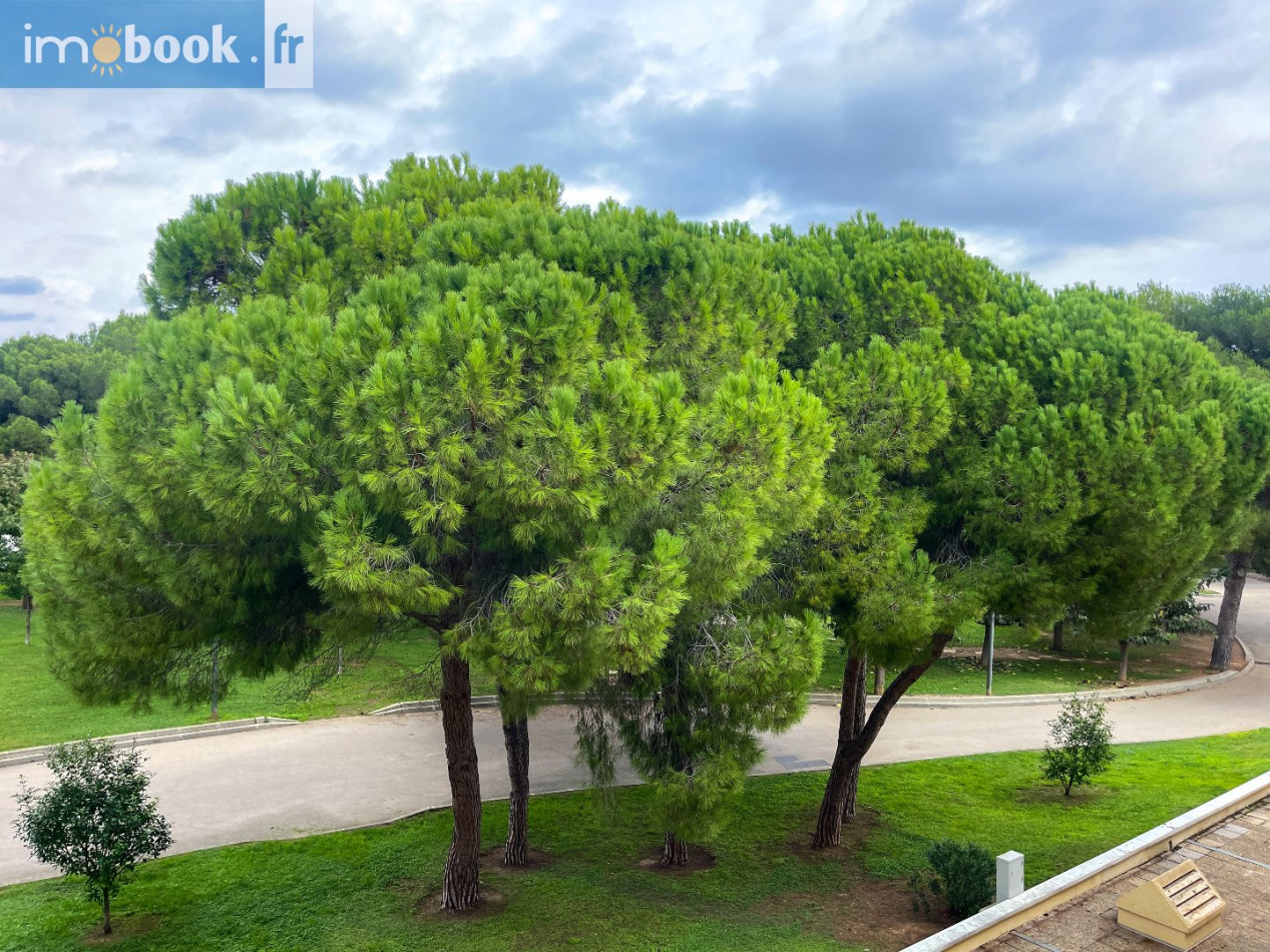 vente Appartement en résidence Balaruc Les Bains - Photo 9