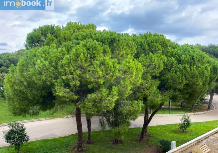 vente Appartement en résidence Balaruc Les Bains