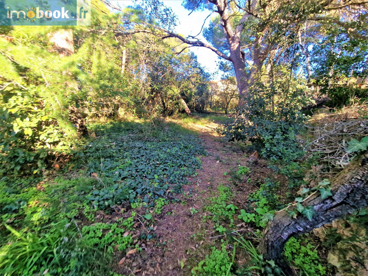 vente Maison Sete - Photo 3