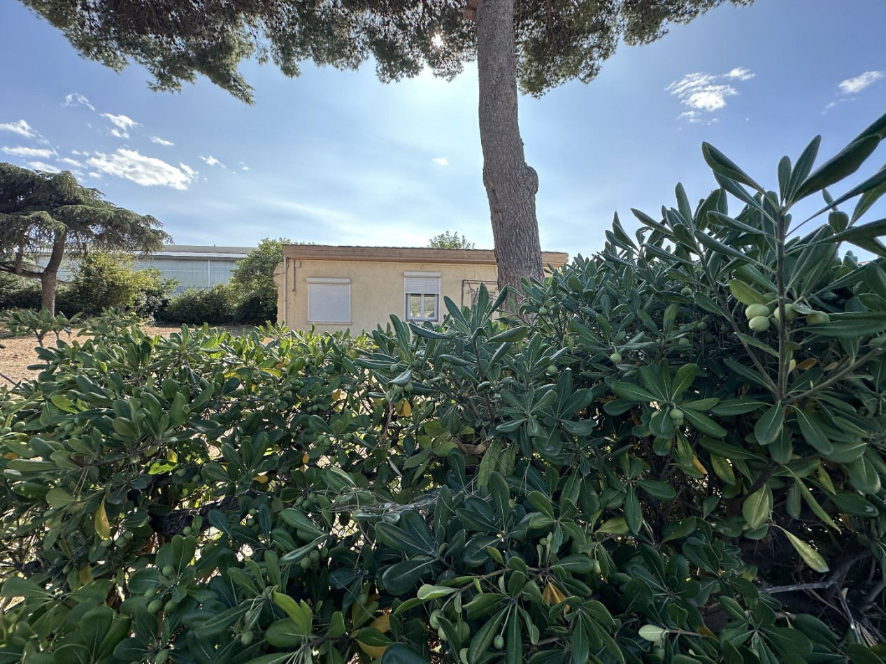 vente Maison à rénover Sete - Photo 7