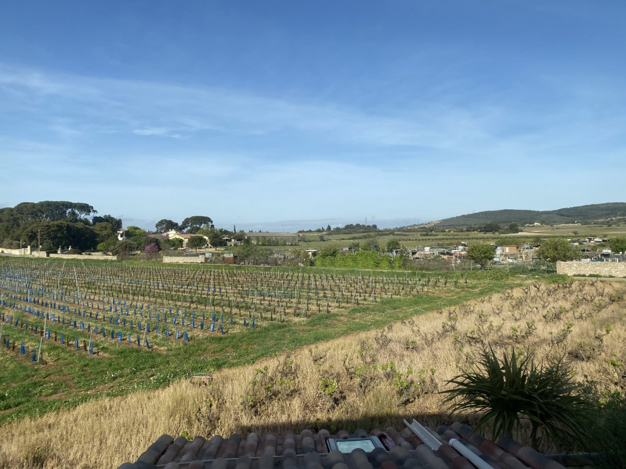 vente Maison Frontignan - Photo 9