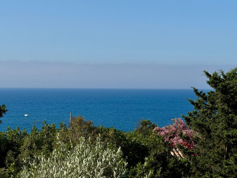 vente Maison Sete - Photo 1
