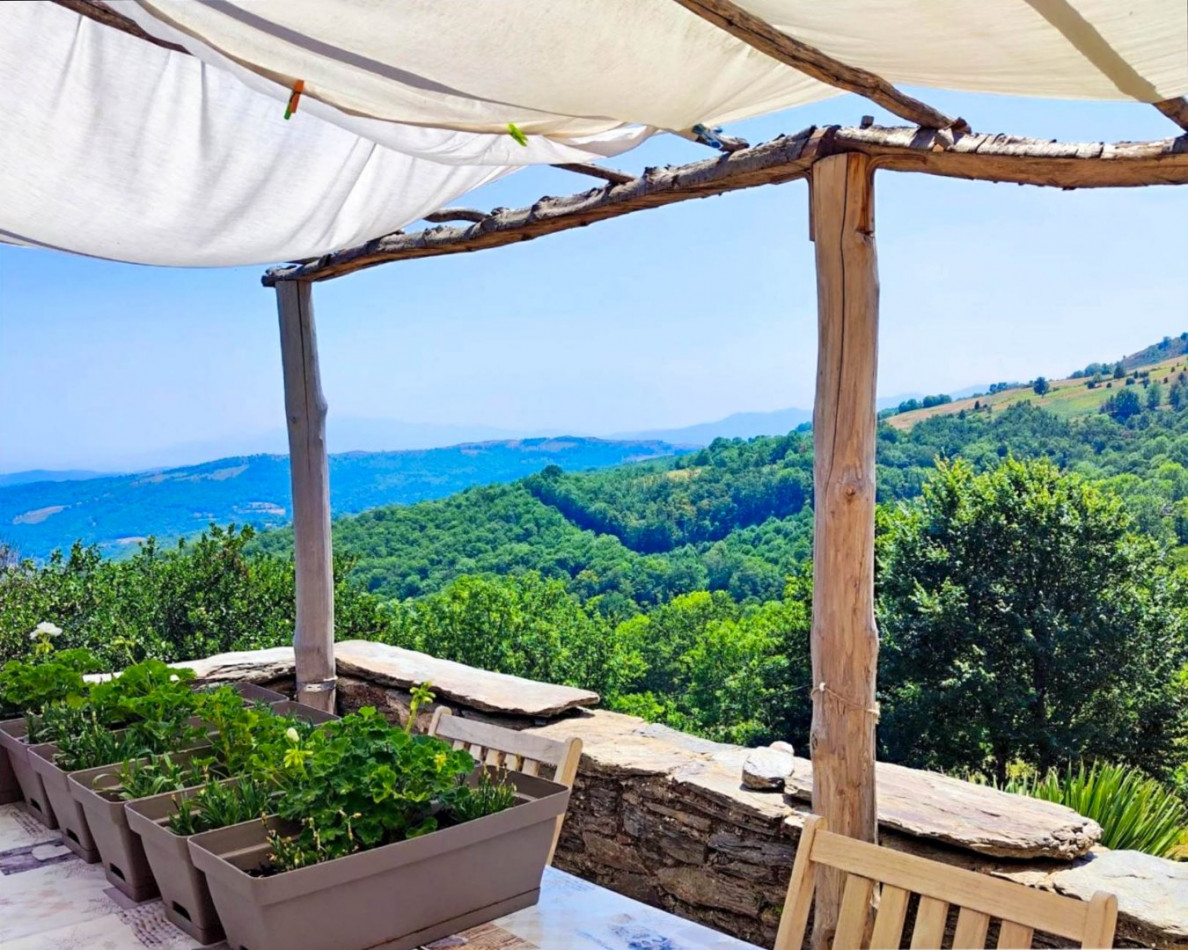 vente Maison Ceret - Photo 2