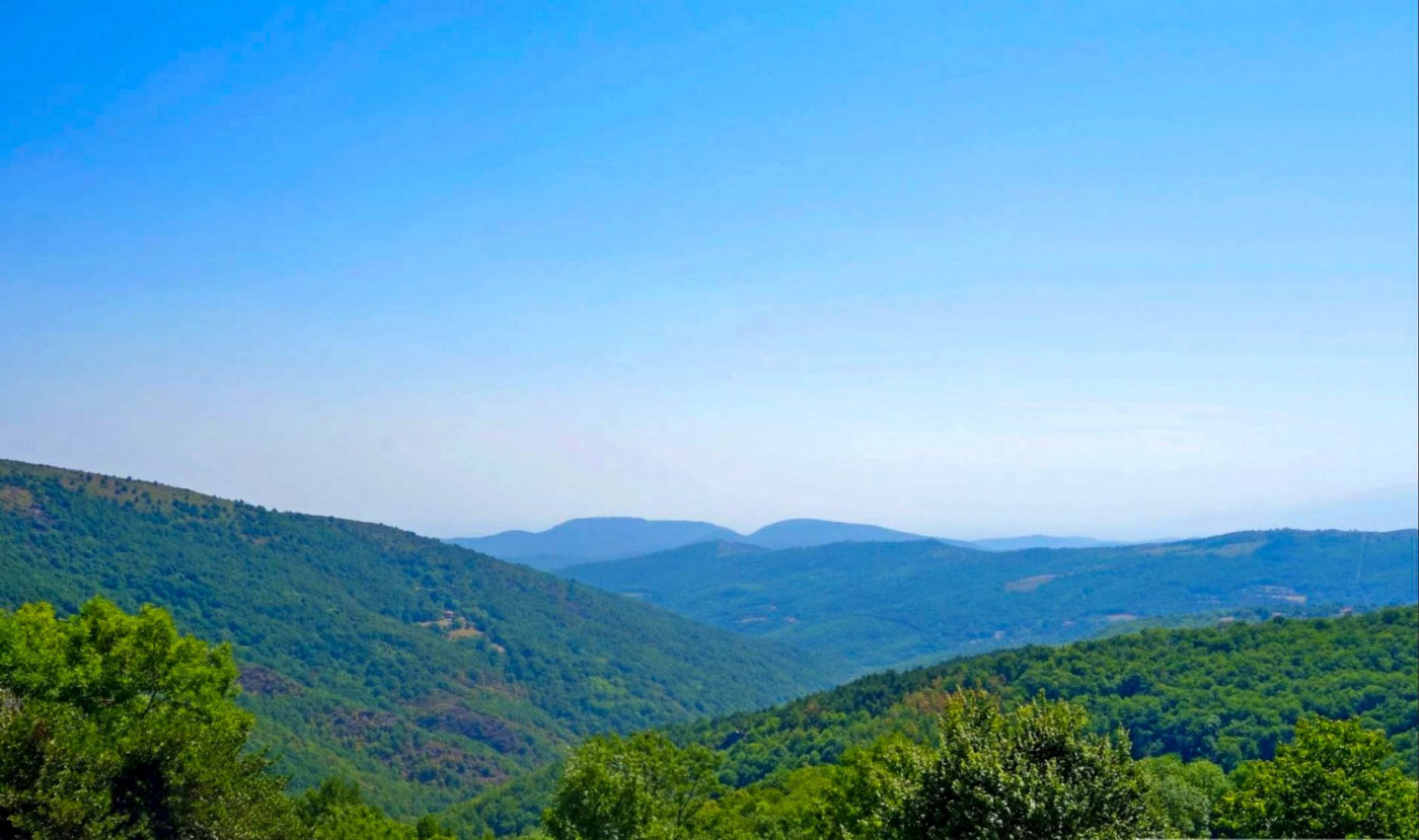 vente Maison Ceret - Photo 9