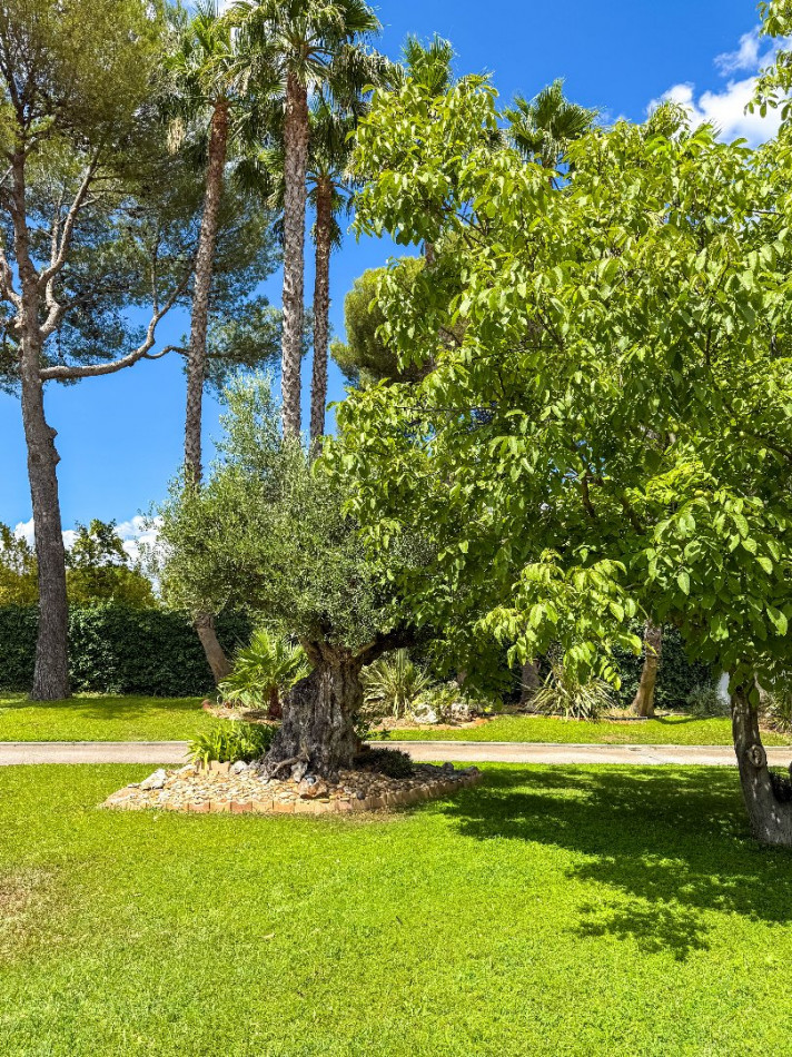 vente Maison Frontignan - Photo 4