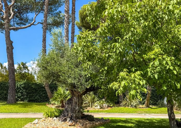 vente Maison Frontignan