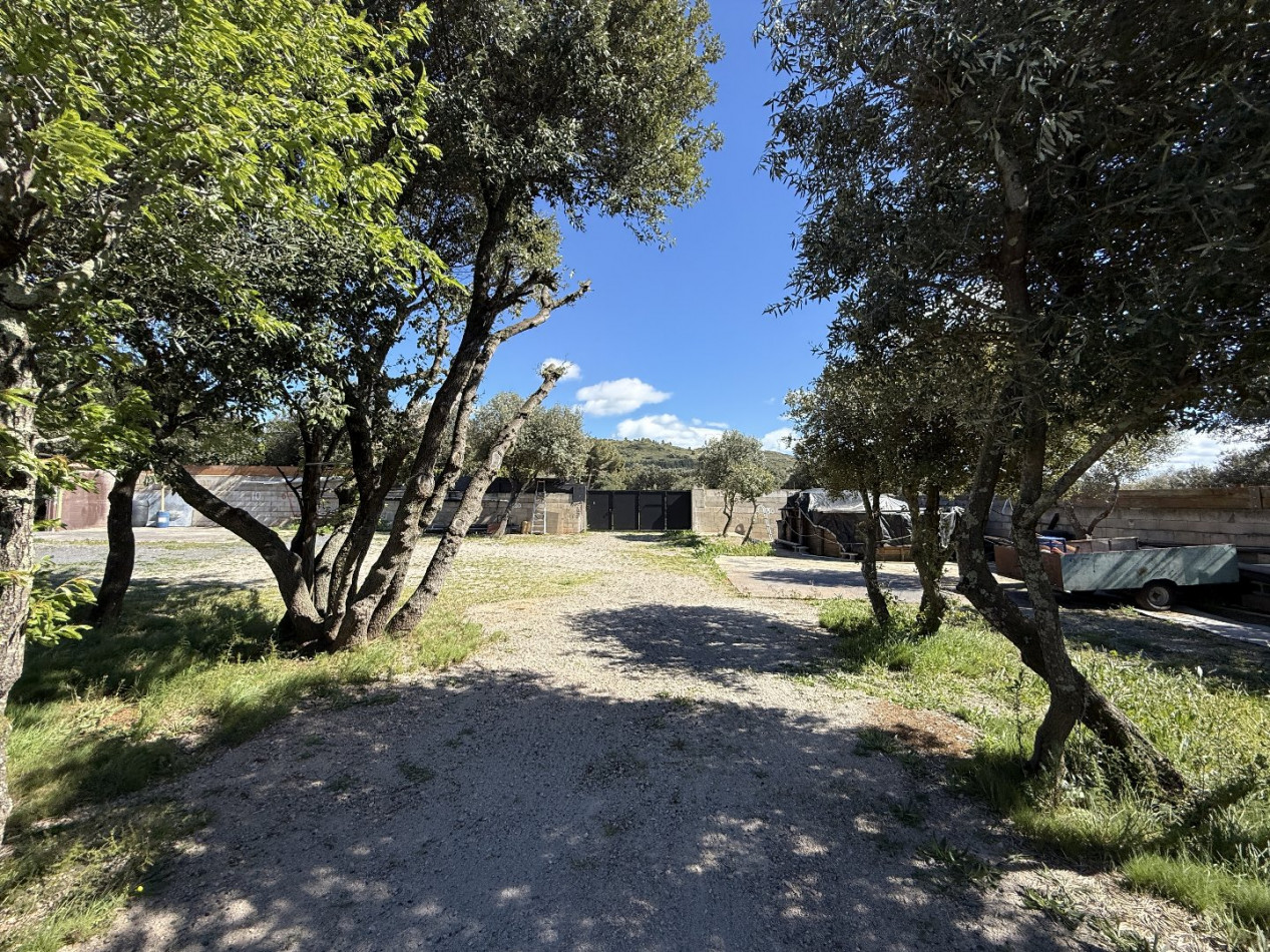 vente Maison à rénover Balaruc Le Vieux - Photo 1