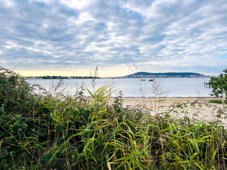 vente Maison de caractère Bouzigues - Photo 2