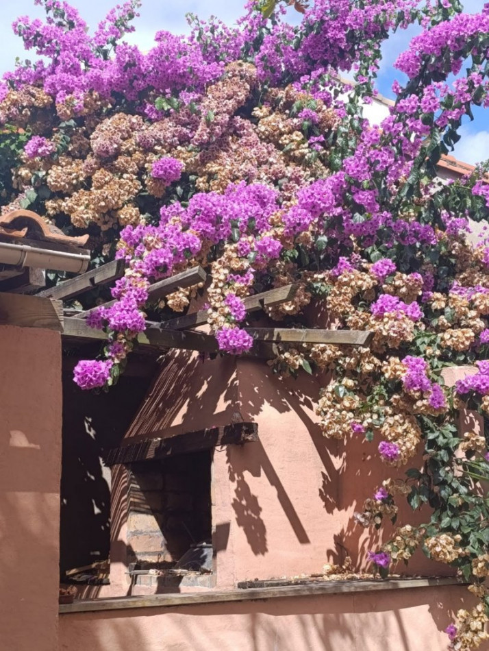 vente Maison Frontignan - Photo 9