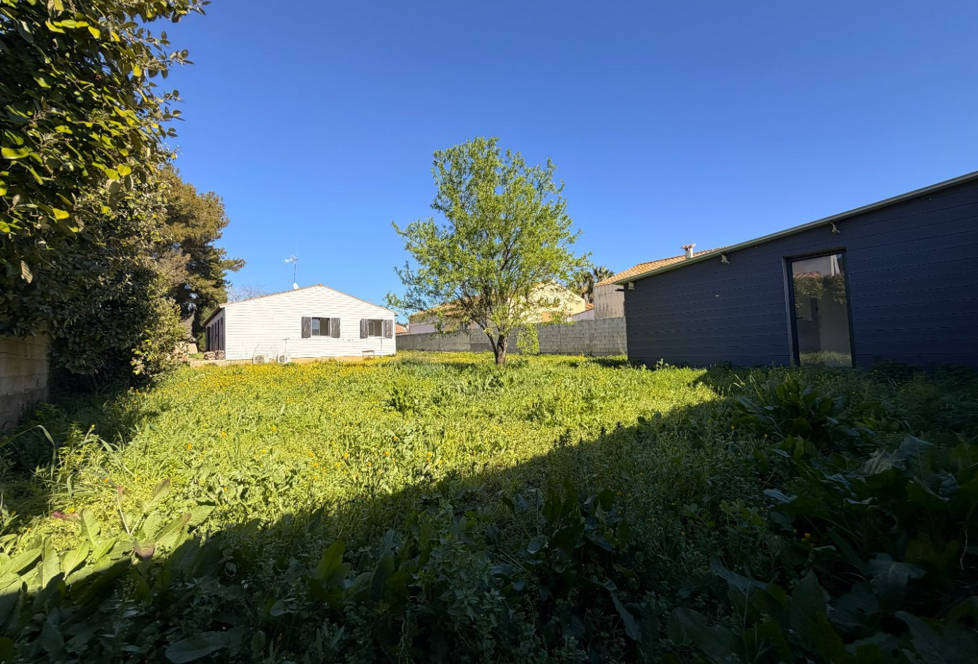 vente Maison Balaruc Les Bains - Photo 4