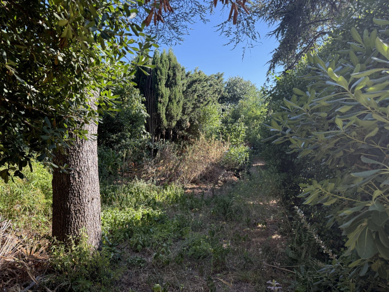 vente Maison à rénover Sete - Photo 9