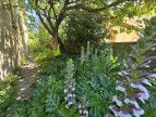 vente Maison Balaruc Les Bains