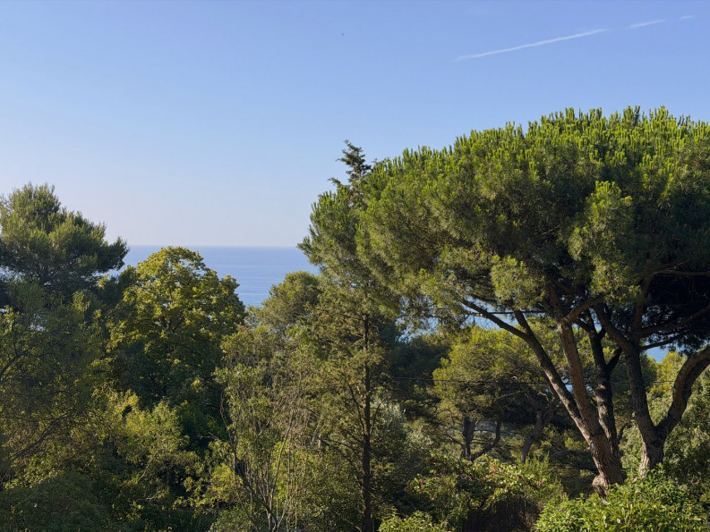 vente Terrain Sete - Photo 1