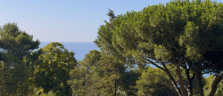 vente Terrain Sete