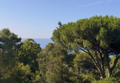 vente Terrain Sete